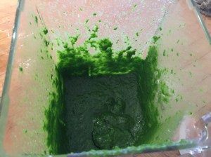parsley pesto in a blender